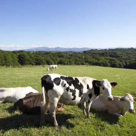 Maison Au Calme Avec Vue Sur Les Montagnes Villefranque (Pyrenees-Atlantiques)